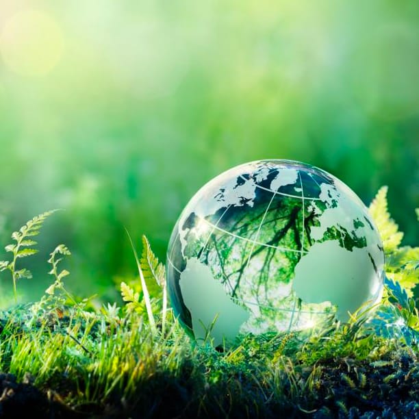Environmental Image Globe on Grass