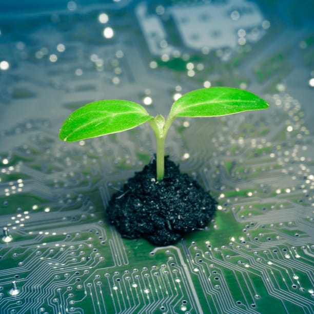 Environmental Image Tree Sprouting from Electronics